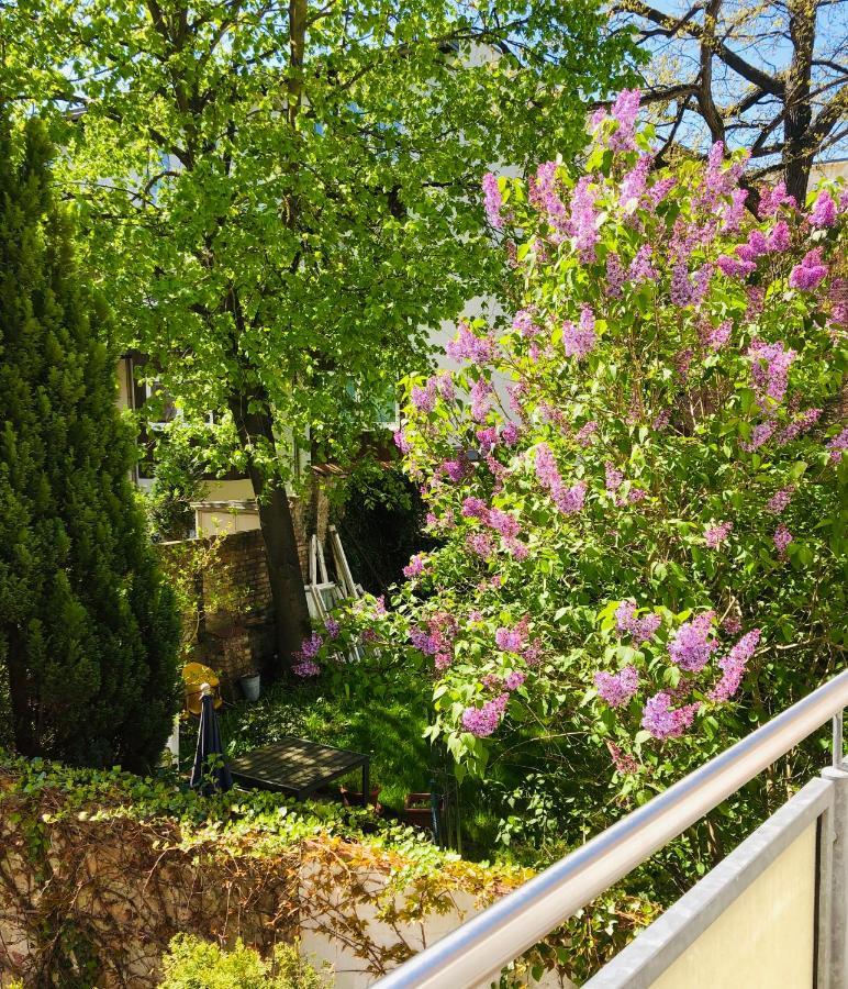 - Am Kuetertor - Alle Mit Terrasse Oder Balkon - Preis Inclusive 5 Prozent Bettensteuer